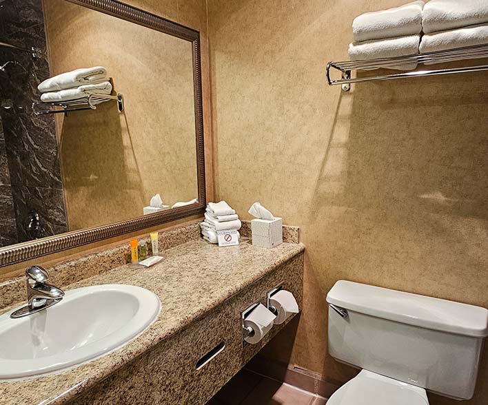 King Jet Tub Room