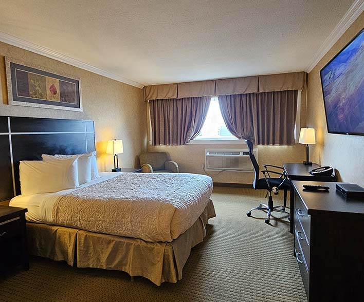 Single Queen Room