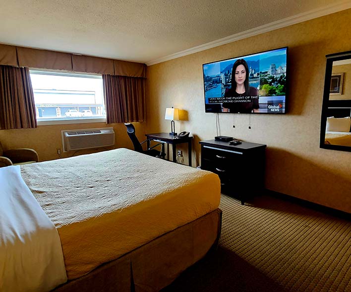 Single Queen Room