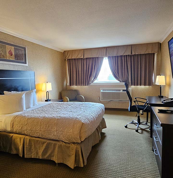 Single Queen Room