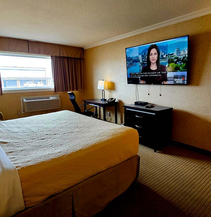 Single Queen Room